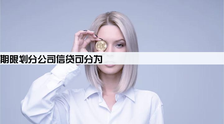 按贷款期限划分公司信贷可分为