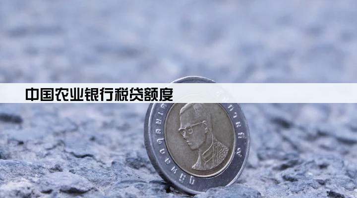 中国农业银行税贷额度