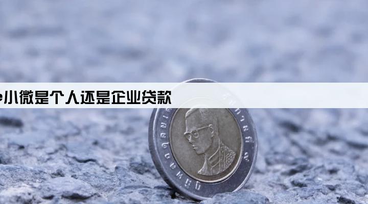 鑫e小微是个人还是企业贷款