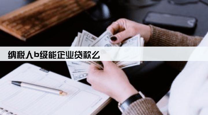 纳税人b级能企业贷款么