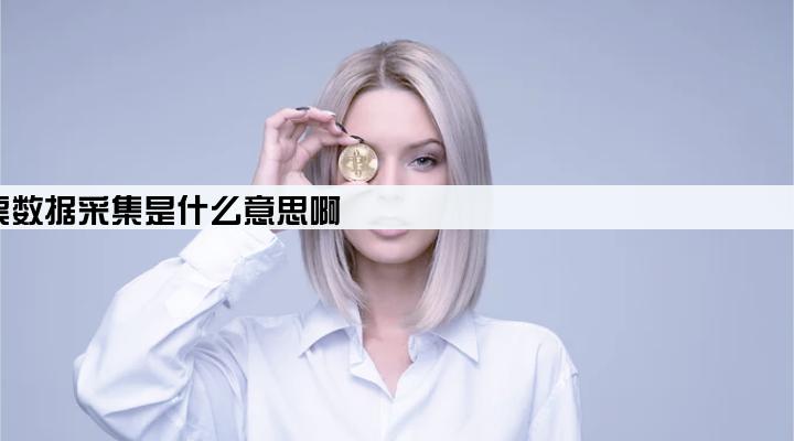 做发票贷款的发票数据采集是什么意思啊