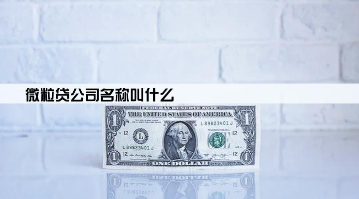 微粒贷公司名称叫什么