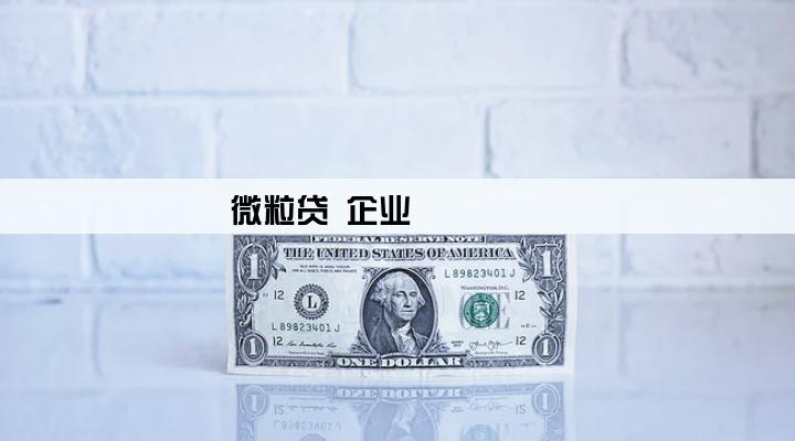 微粒贷 企业