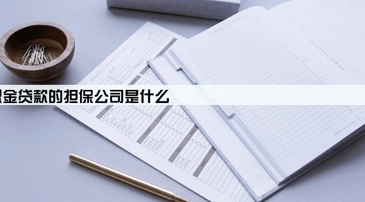 公积金贷款的担保公司是什么