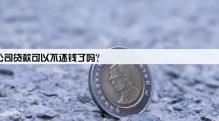 从担保公司贷款可以不还钱了吗?