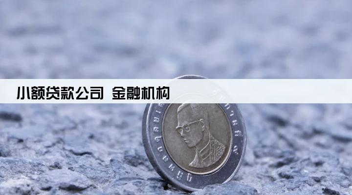 小额贷款公司 金融机构