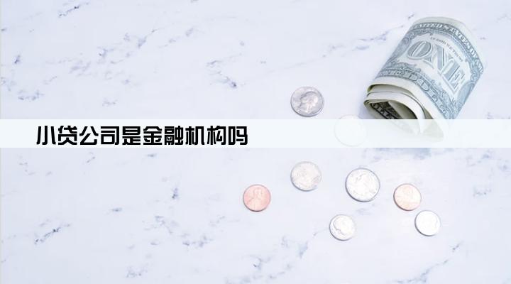 小贷公司是金融机构吗