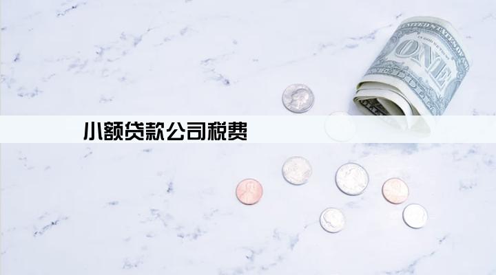 小额贷款公司税费