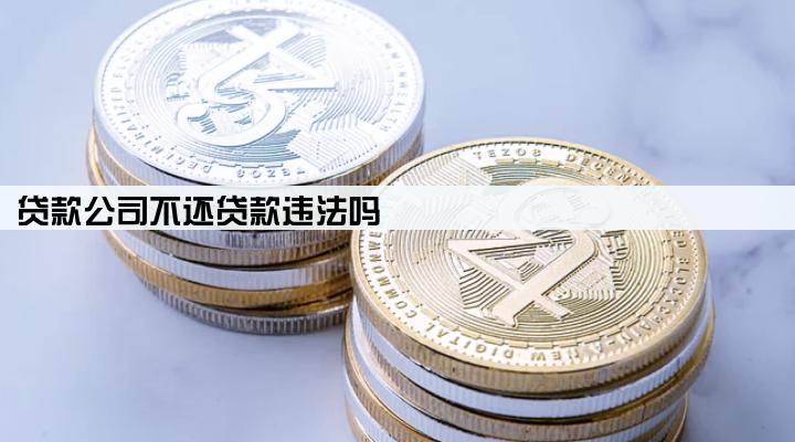 贷款公司不还贷款违法吗