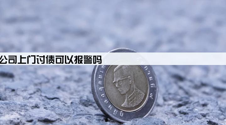 小额贷款公司上门讨债可以报警吗
