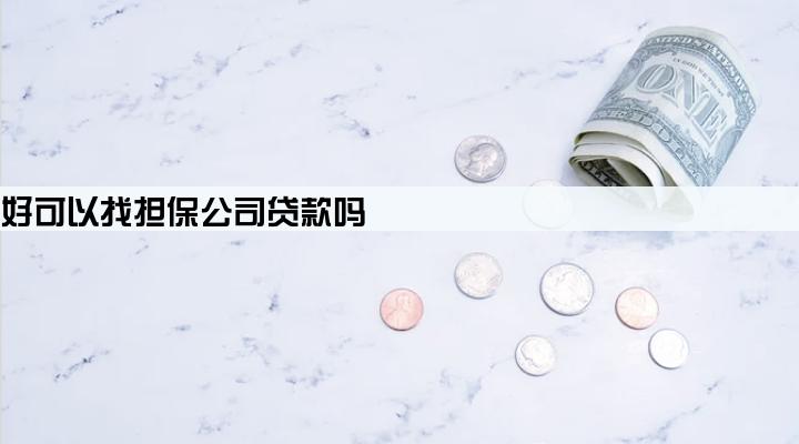 征信不好可以找担保公司贷款吗