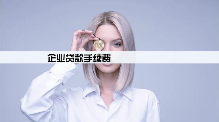 企业贷款手续费