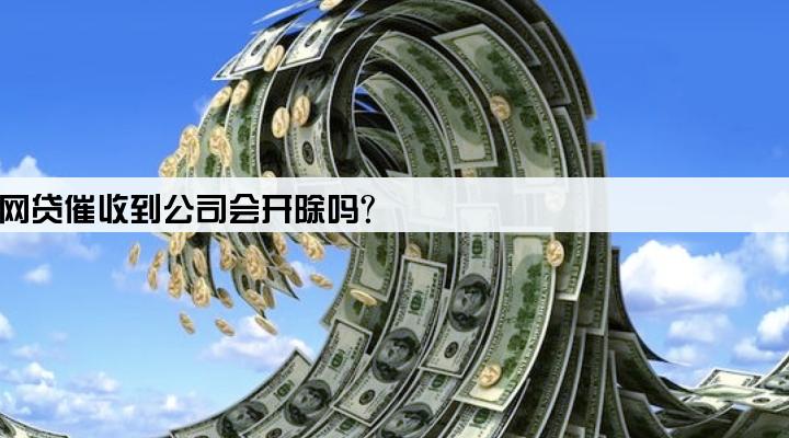 网贷催收到公司会开除吗?