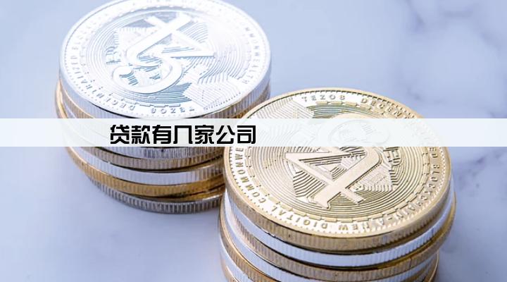 贷款有几家公司