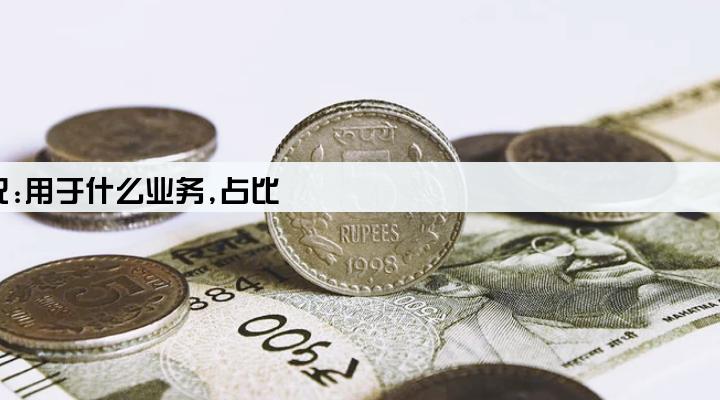 小额贷款公司注册资本金使用情况:用于什么业务,占比