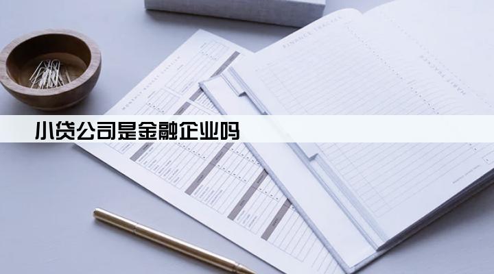 小贷公司是金融企业吗