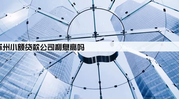苏州小额贷款公司利息高吗