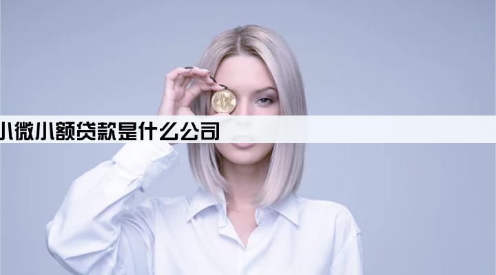 重庆市蚂蚁小微小额贷款是什么公司