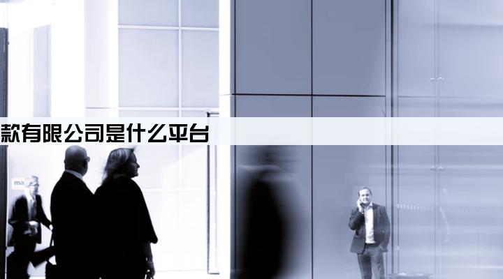 重庆市蚂蚁小微小额贷款有限公司是什么平台