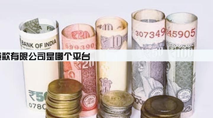 重庆京东盛际小额贷款有限公司是哪个平台