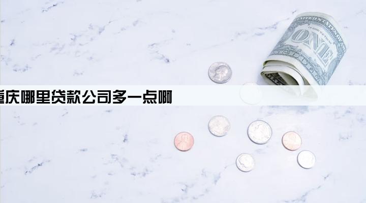 重庆哪里贷款公司多一点啊