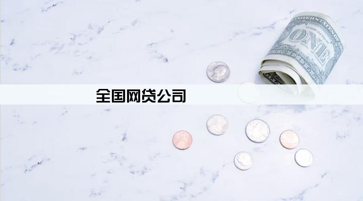 全国网贷公司