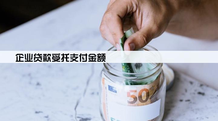 企业贷款受托支付金额