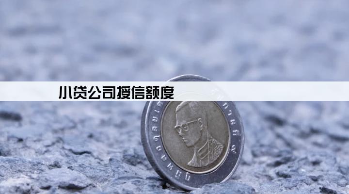 小贷公司授信额度