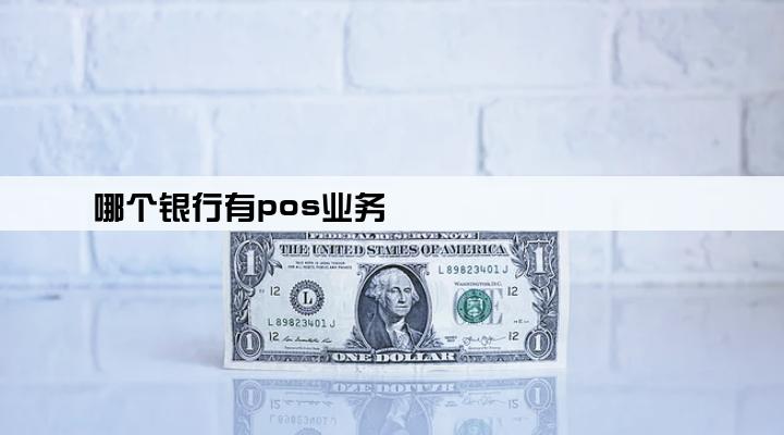 哪个银行有pos业务