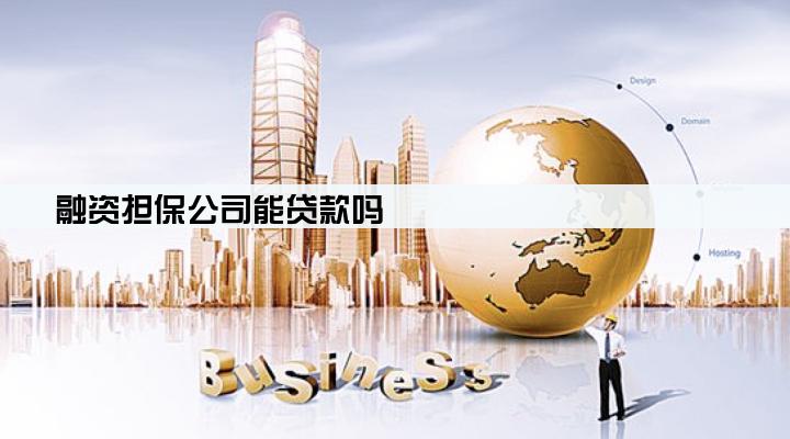 融资担保公司能贷款吗