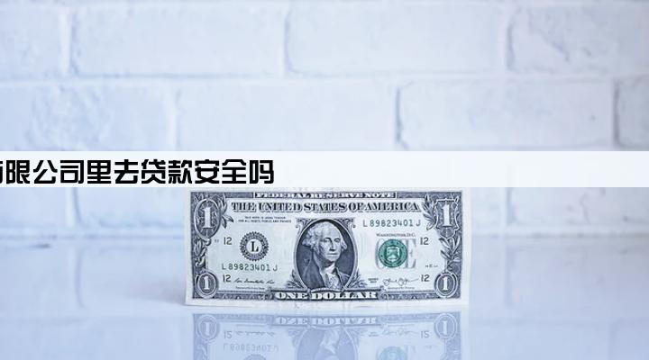 浙江杭银网络科技有限公司里去贷款安全吗