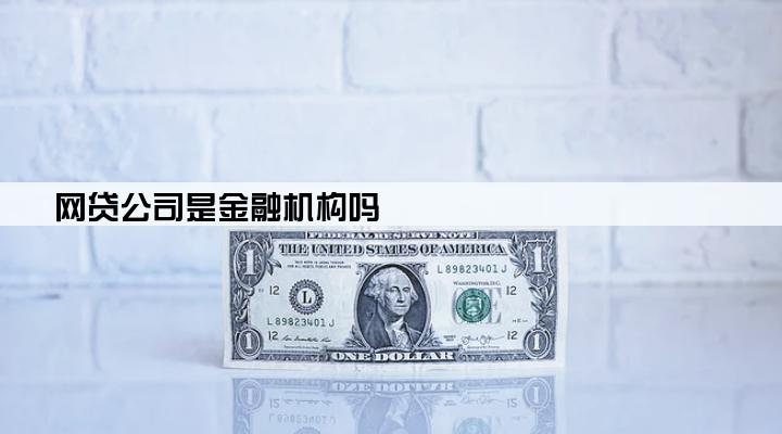 网贷公司是金融机构吗