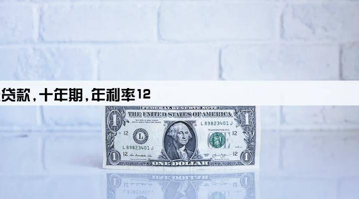 企业年初借得50000元贷款,十年期,年利率12
