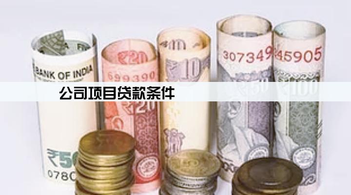 公司项目贷款条件