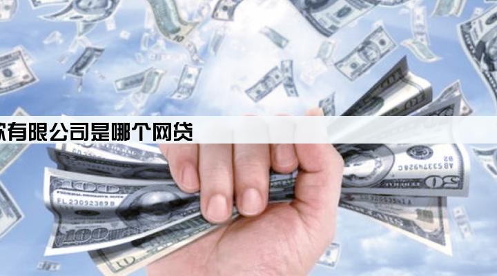 江西赣江新区爱施德网络小额贷款有限公司是哪个网贷