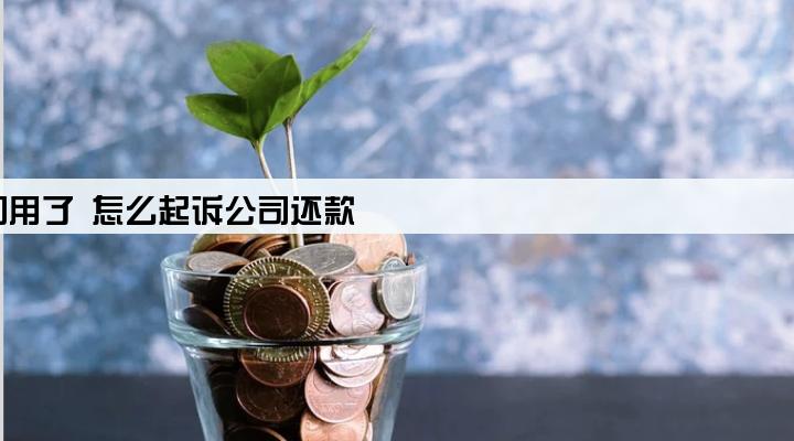 贷款给公司用了 怎么起诉公司还款