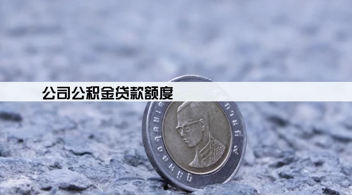 公司公积金贷款额度