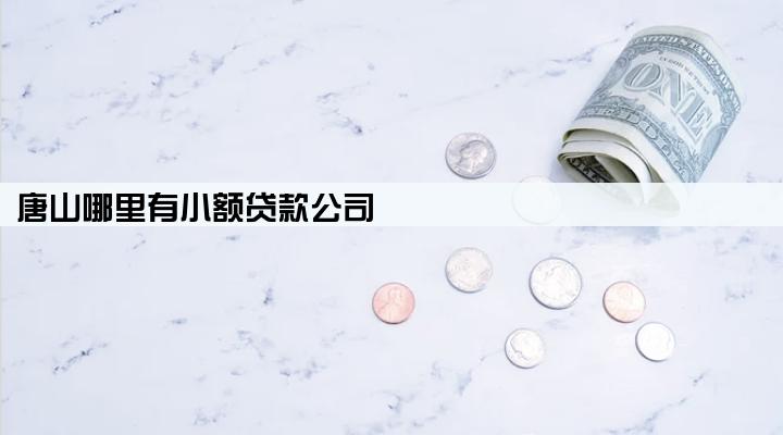 唐山哪里有小额贷款公司