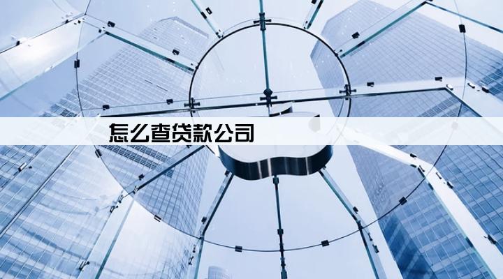 怎么查贷款公司