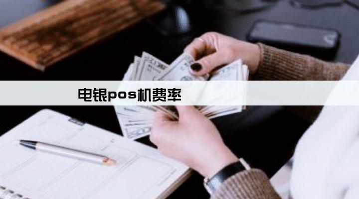 电银pos机费率