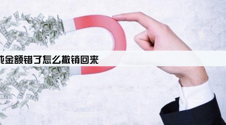 pos机担保完成金额错了怎么撤销回来