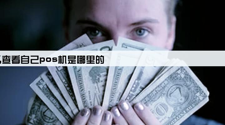 怎么查看自己pos机是哪里的