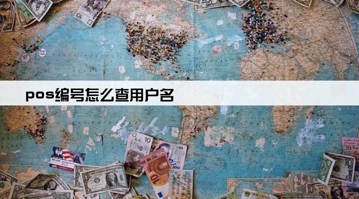 pos编号怎么查用户名