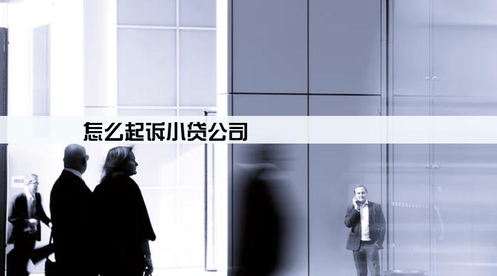 怎么起诉小贷公司