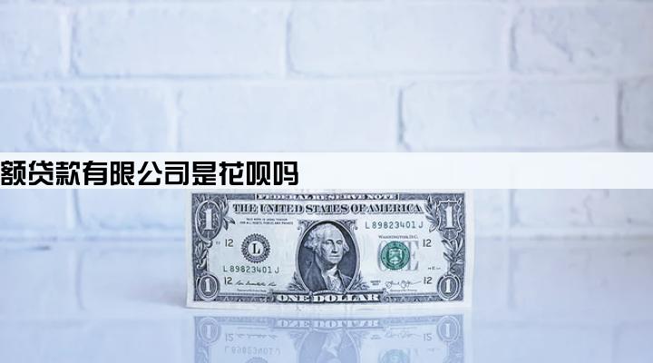 重庆小额贷款有限公司是花呗吗