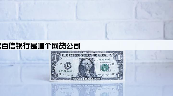 中信百信银行是哪个网贷公司