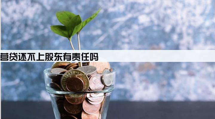 公司经营贷还不上股东有责任吗