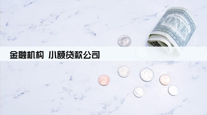 金融机构 小额贷款公司