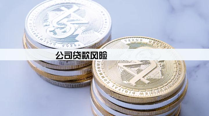 公司贷款风险
