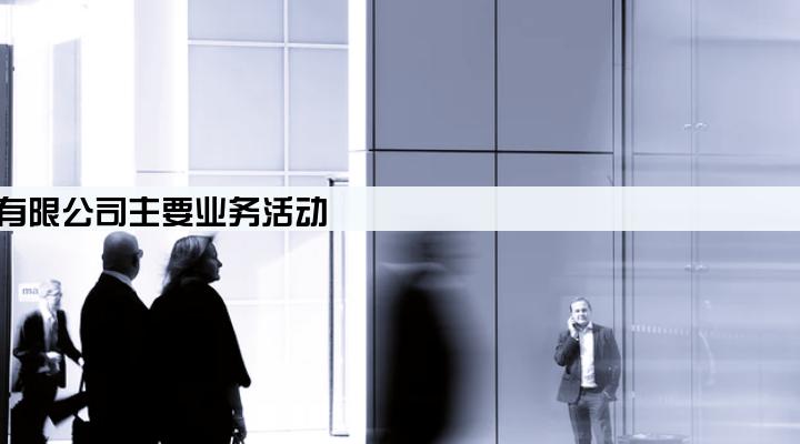 深圳市浩森小额贷款股份有限公司主要业务活动